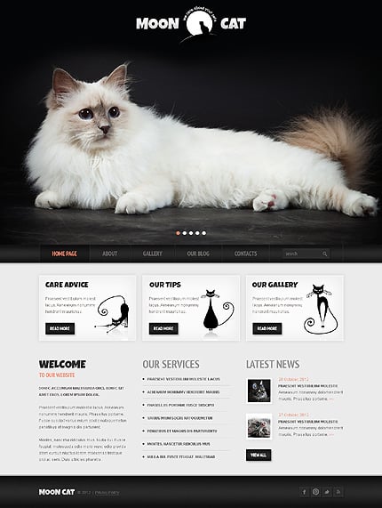 Conceptual Cat WordPress Theme