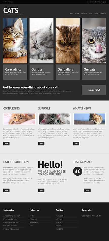 Cat WordPress Theme