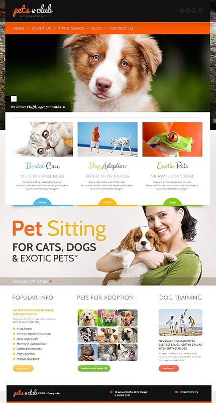 White Animals & Pets WordPress Theme