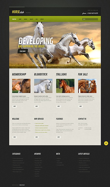 Horse Responsive WordPress Theme