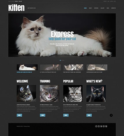 Cat Responsive WordPress Theme