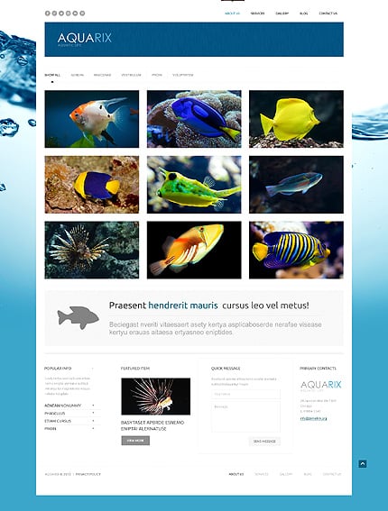 Fish Responsive WordPress Theme