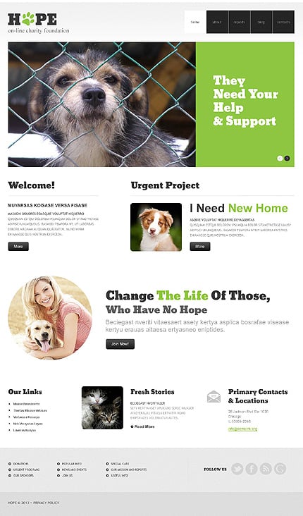 Clear Animal Shelter WordPress Theme