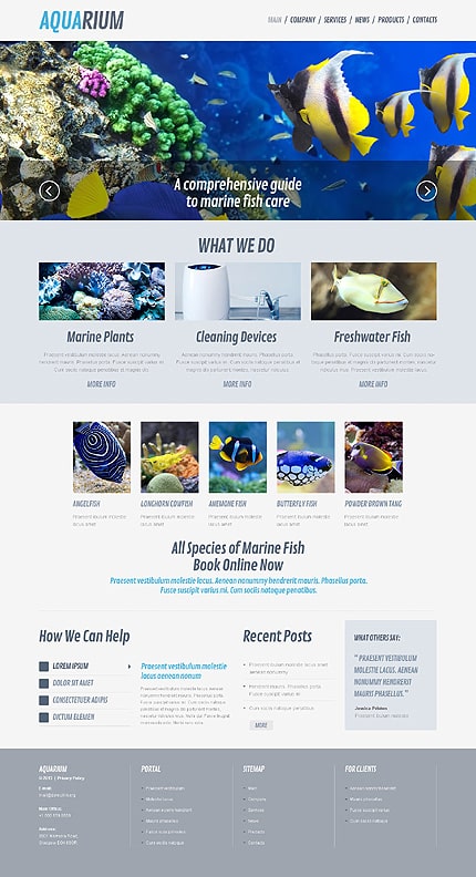 Fish Responsive WordPress Theme
