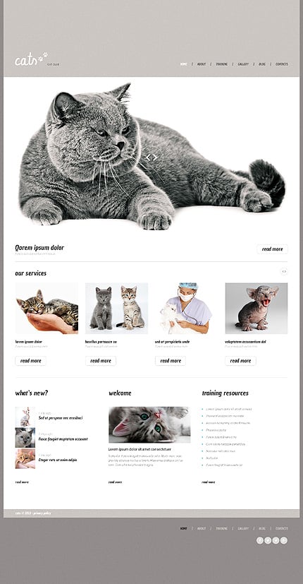 Cat Responsive WordPress Theme