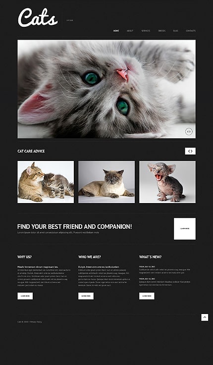 Cat WordPress Theme